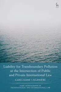 Liability for Transboundary Pollution at the Intersection of Public and Private International Law_cover
