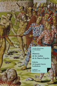 Historia de los indios de la Nueva España_cover