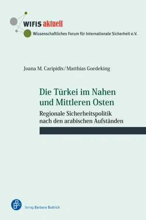 Die Türkei im Nahen und Mittleren Osten