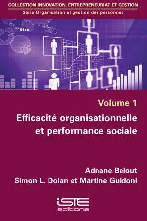 Efficacité organisationnelle et performance sociale