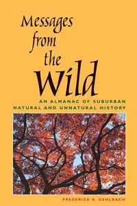 Messages from the Wild_cover