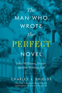 The Man Who Wrote the Perfect Novel_cover