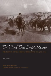 The Wind that Swept Mexico_cover