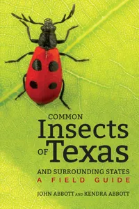 Common Insects of Texas and Surrounding States_cover