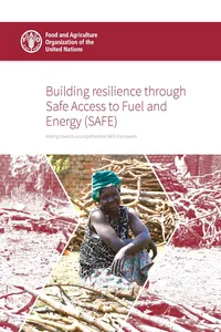 Building Resilience through Safe Access to Fuel and Energy_cover