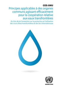 Principes applicables à des organes communs agissant efficacement pour la coopération relative aux eaux transfrontières au titre de la Convention sur la protection et l'utilisation des cours d'eau transfrontières et des lacs internationaux_cover