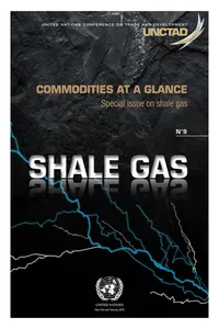Commodities at a Glance_cover