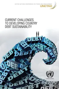 Current Challenges to Developing Country Debt Sustainability_cover
