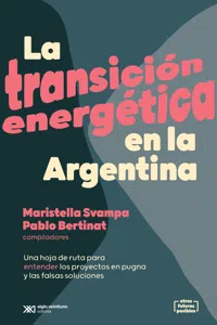 La transición energética en la Argentina_cover