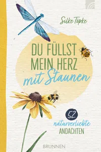 Du füllst mein Herz mit Staunen_cover