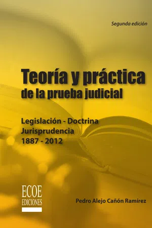 Teoría y práctica de la prueba judicial - 2da edición