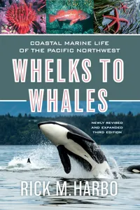 Whelks to Whales_cover