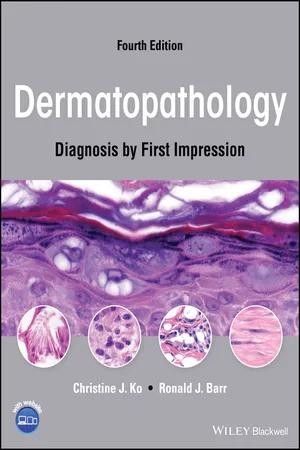 Dermatopathology