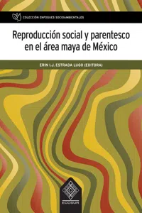 Reproducción social y parentesco en el área maya de México_cover