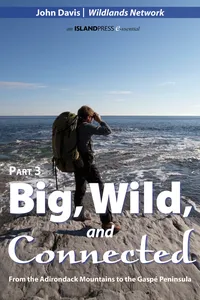 Big, Wild, and Connected_cover