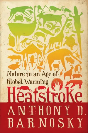 Heatstroke