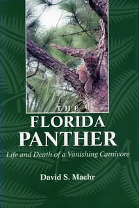 The Florida Panther_cover
