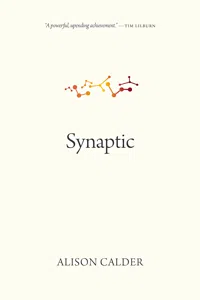 Synaptic_cover