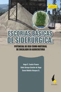 Escorias básicas de Siderúrgica:_cover