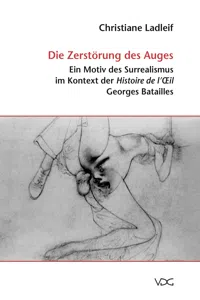 Die Zerstörung des Auges_cover