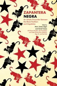 Zapantera Negra_cover
