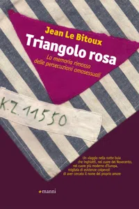 Triangolo rosa_cover