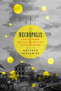 Necropolis_cover