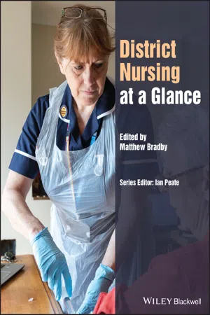 District Nursing at a Glance