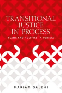 Transitional justice in process_cover