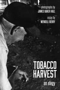 Tobacco Harvest_cover