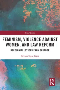 Feminism, Violence Against Women, and Law Reform_cover