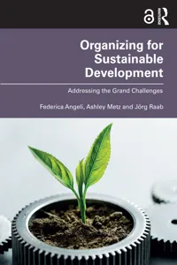 Organizing for Sustainable Development_cover