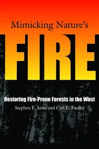 Mimicking Nature's Fire_cover