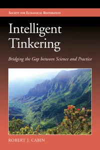 Intelligent Tinkering_cover