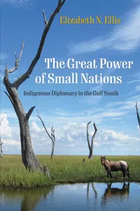The Great Power of Small Nations_cover