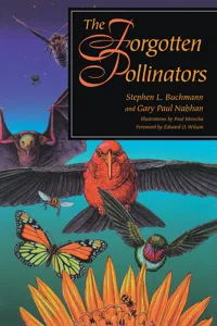 The Forgotten Pollinators_cover