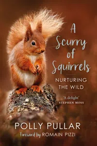 A Scurry of Squirrels_cover