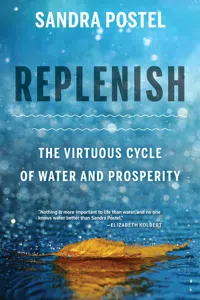 Replenish_cover