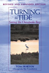 Turning the Tide_cover