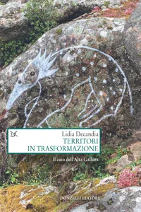 Territori in trasformazione_cover