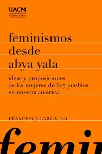 Feminismos desde Abya Yala_cover