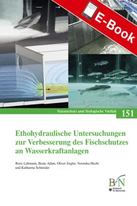 Ethohydraulische Untersuchungen zur Verbesserung des Fischschutzes an Wasserkraftanlagen_cover