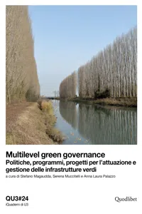 Multilevel green governance_cover