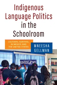 Indigenous Language Politics in the Schoolroom_cover