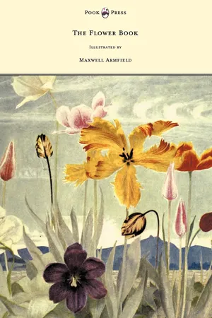 The Flower Book - Illustrated by Maxwell Armfield