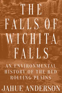 The Falls of Wichita Falls_cover