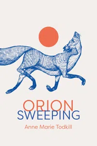 Orion Sweeping_cover