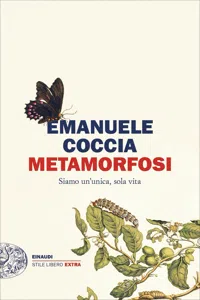 Metamorfosi_cover