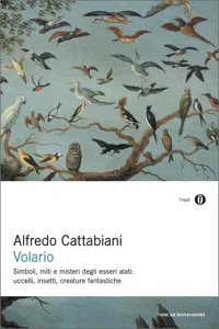 Volario_cover