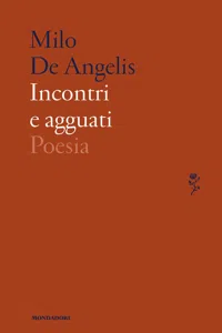 Incontri e agguati_cover